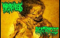 Hyperemesis : Hyperemesis - Agathocles